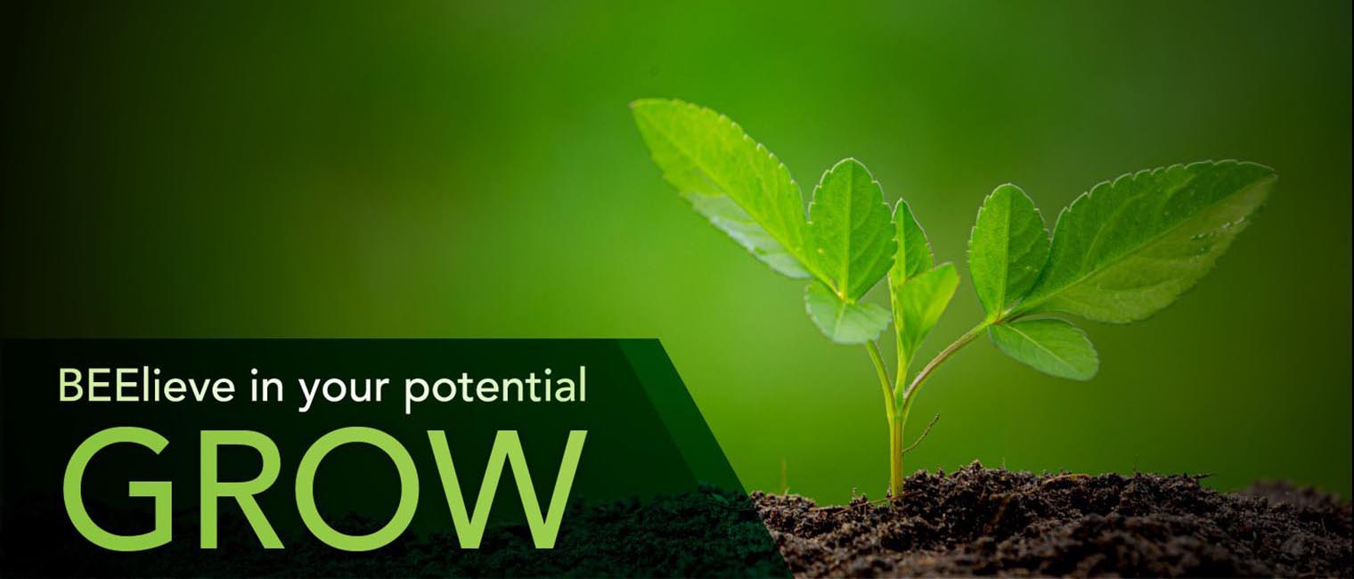 Grow Your Business